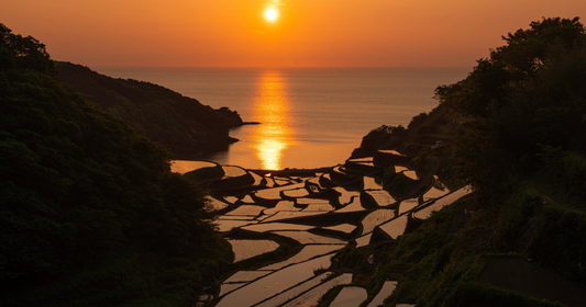 フラーレン美容液　アリカセラ