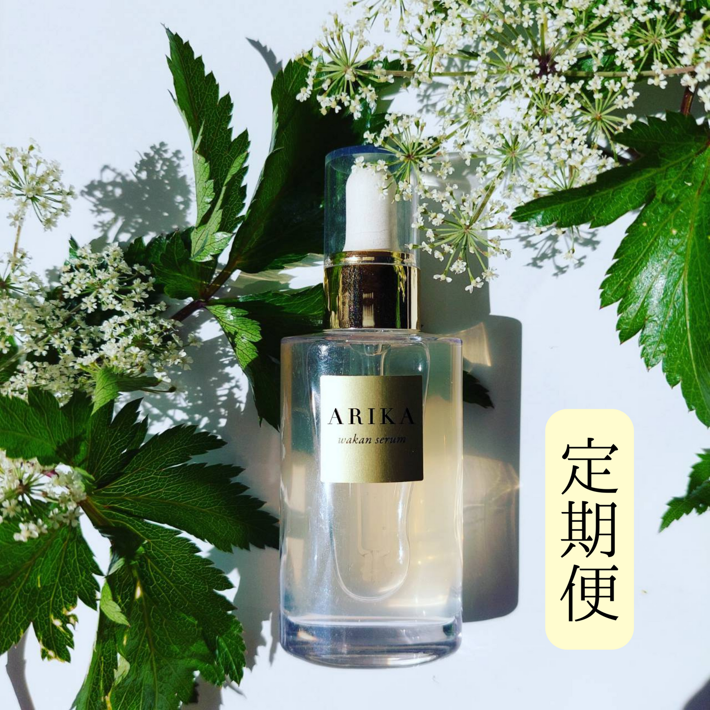 美容液 Ayu 美容液 yuzu 美容液 yuzu 物販商品 | ZX-CLINIC【公式 美容液 Ayu 美容液 yuzu 美容液 yuzu 物販商品 | ZX-CLINIC【公式