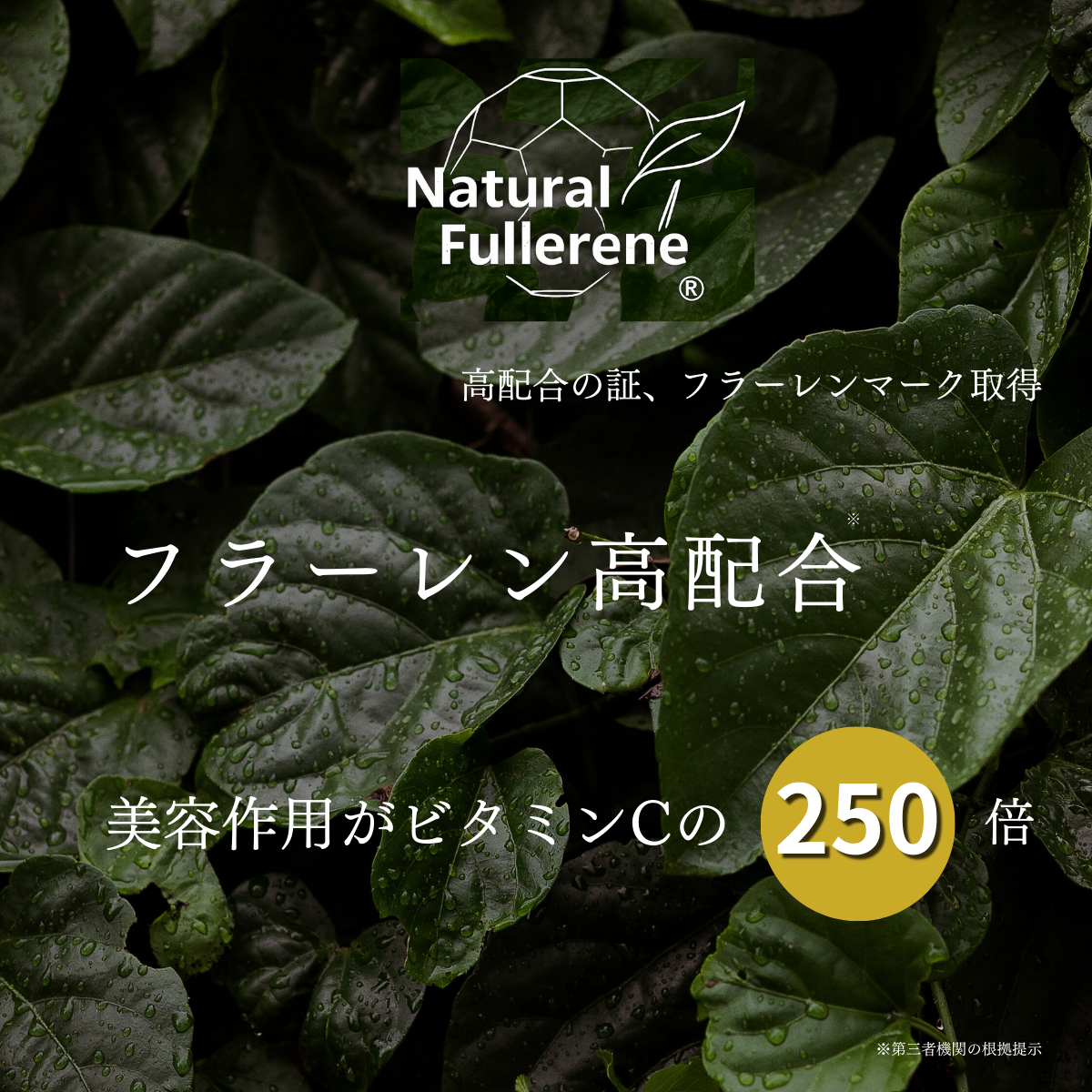 フラーレン高配合×和漢 エイジングケア美容液 – アリカセラ