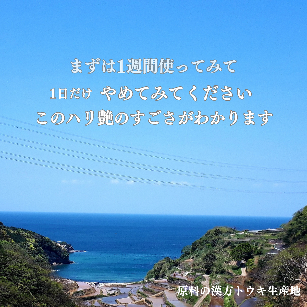 ARIKA 和漢 セラム（美容液）